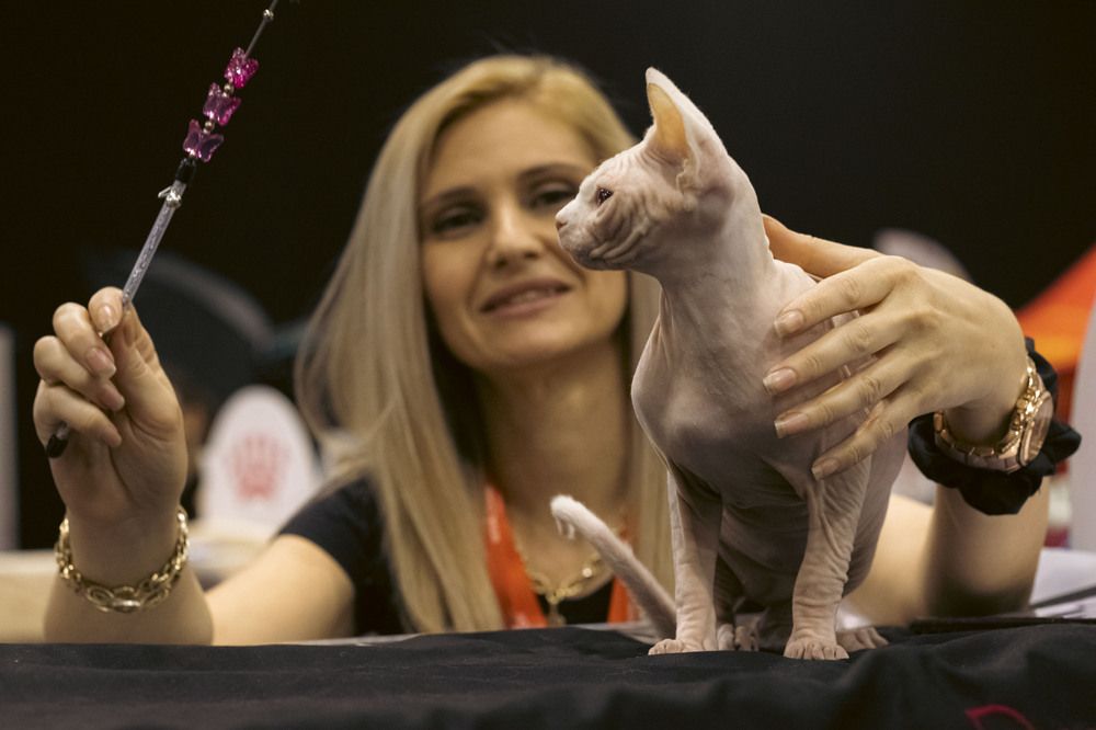 Photograph by Anna Gancheva