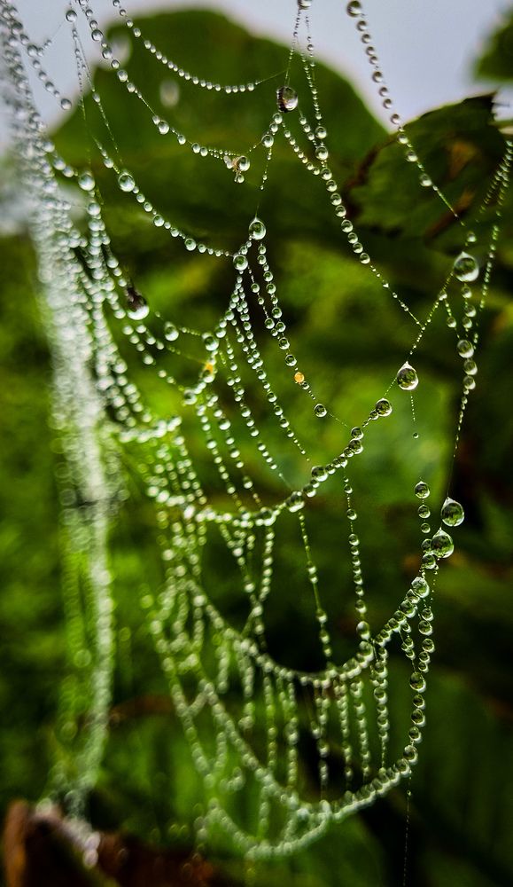 Photograph by Анна Лунева