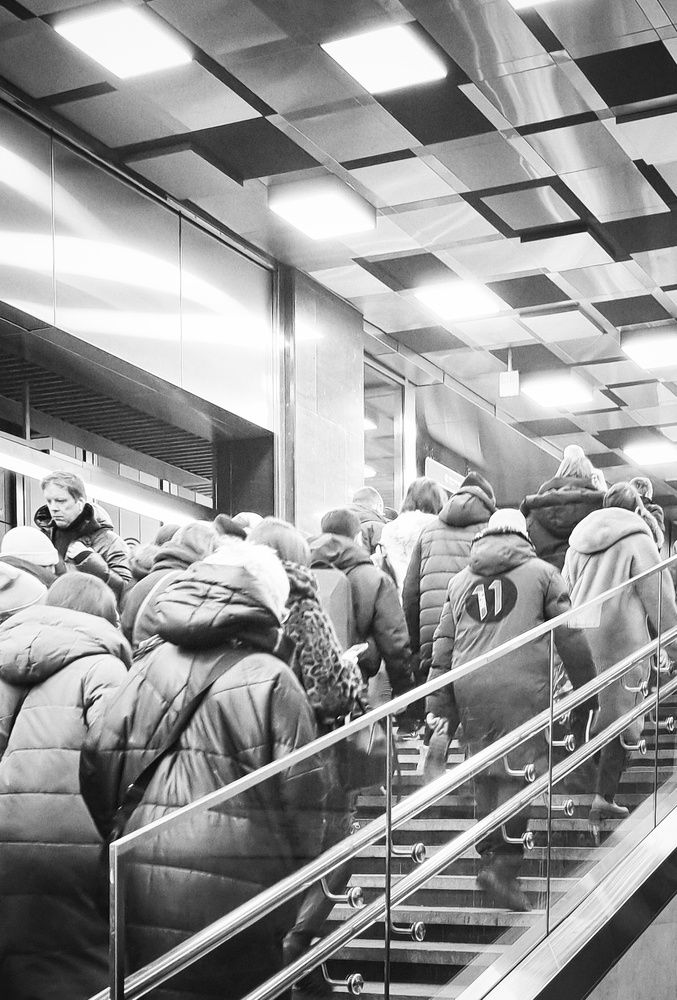 Фотография автора Светлана Алексеева