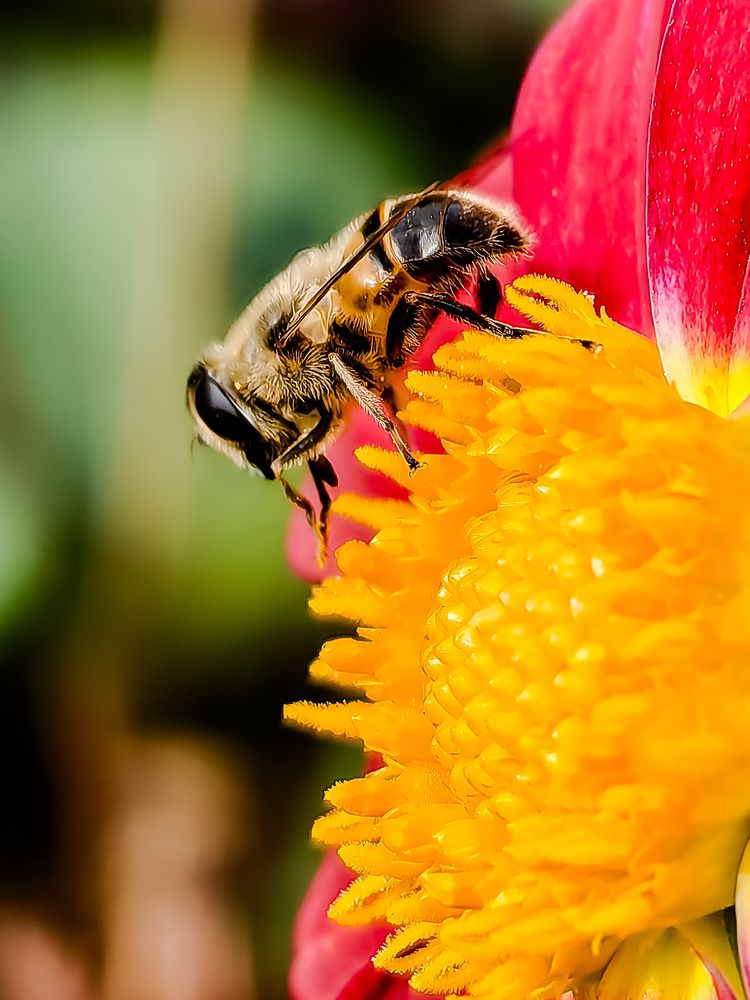 Photograph by Наталия Березина