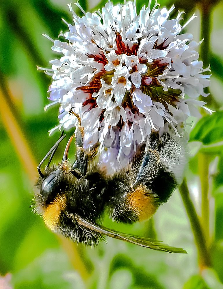 Photograph by Наталия Березина