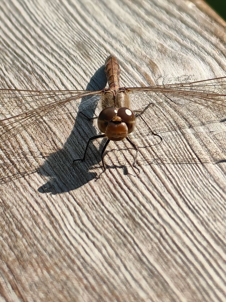 Photograph by Наталия Березина