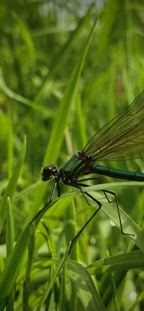 Photograph by Наталья Богаткина