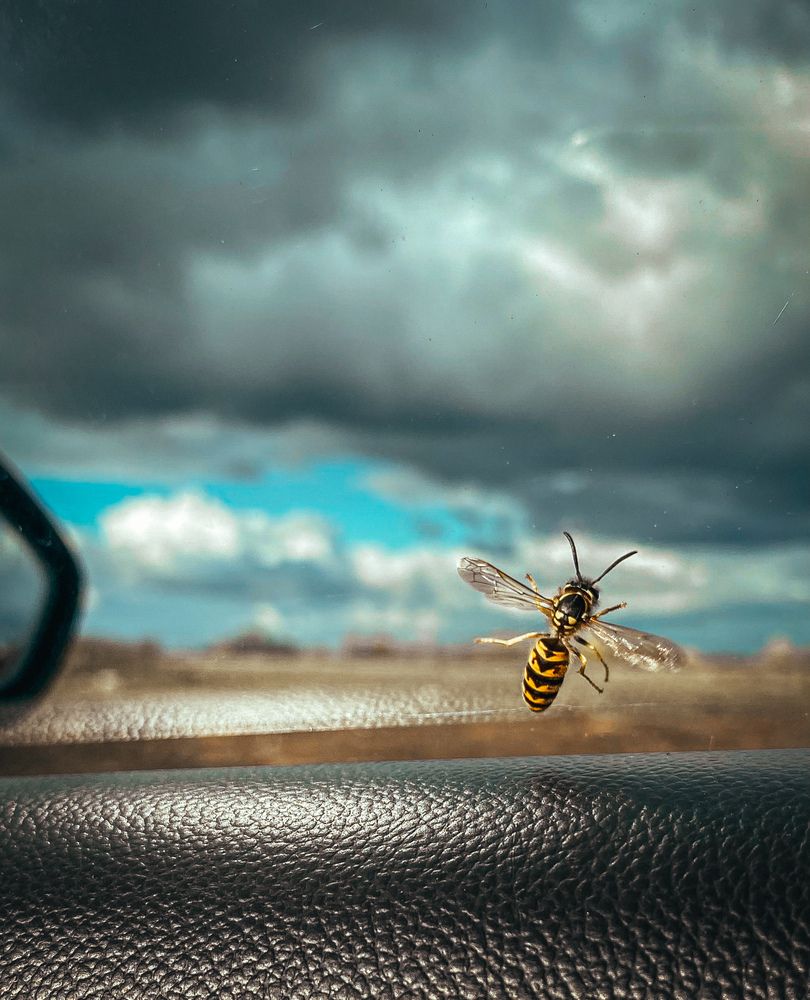 Photograph by Наталья Богаткина