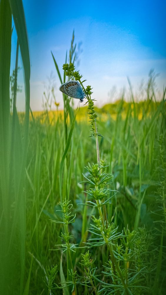 Photograph by Наталья Богаткина