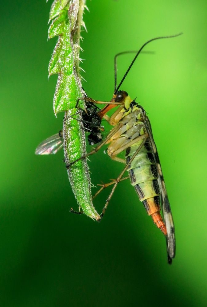 Photograph by Vladimir Freedom