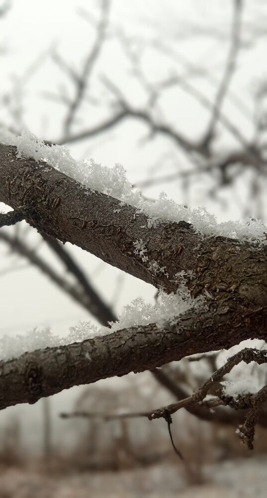 Winter time.