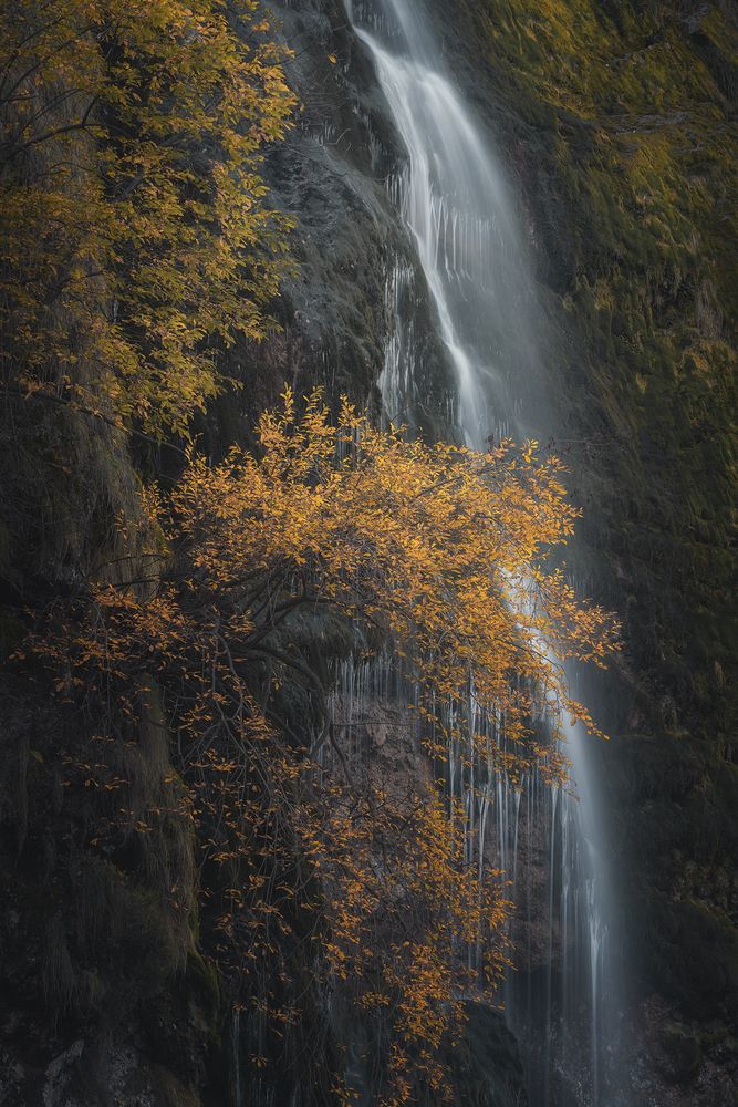 Photograph by de Franzoni Thomas