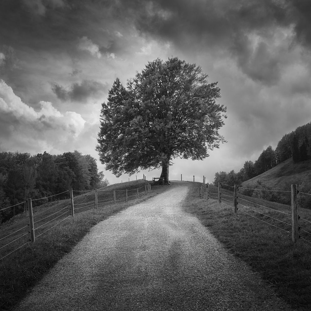 Photograph by de Franzoni Thomas