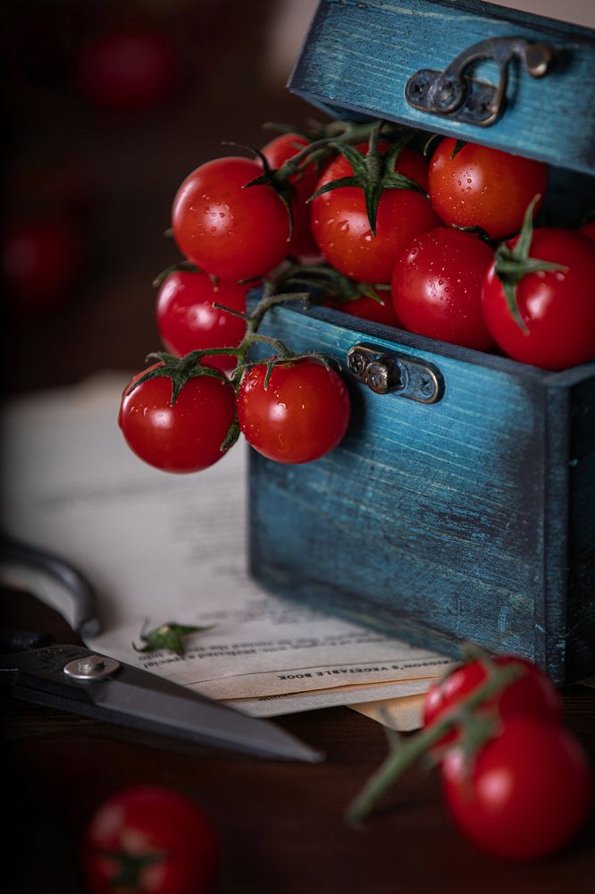 Photograph by Negah_ Photography_