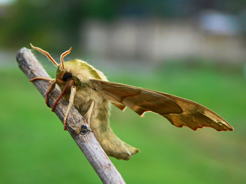 Photograph by Сергей Чеченов