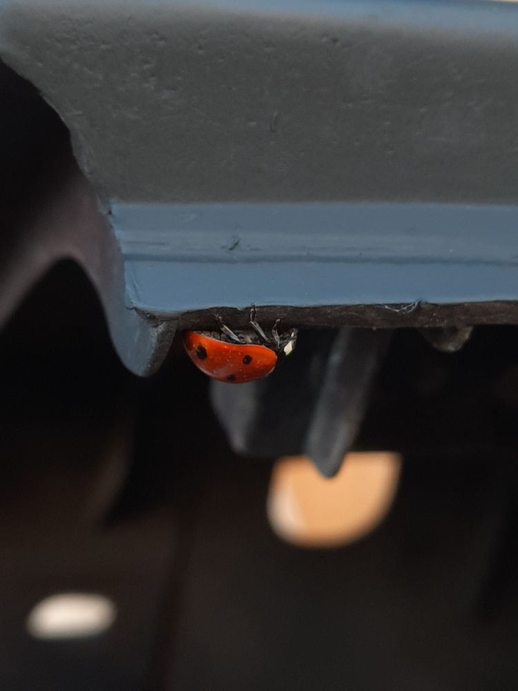 Photograph by Александр Новокрещенов