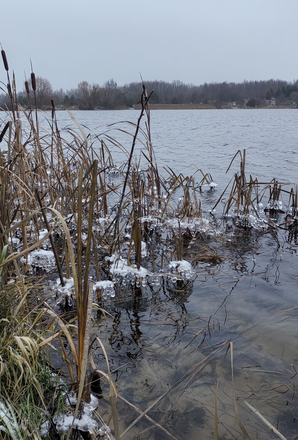 Photo #12054725