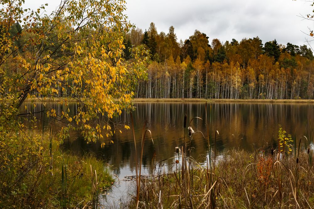 Photograph by Наталья Колеватова