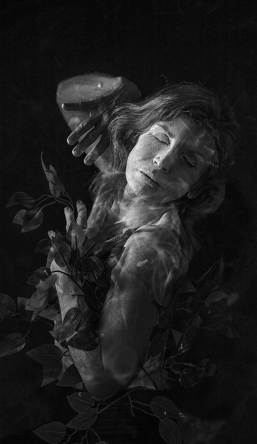 Imersão a natureza Imersão a natureza