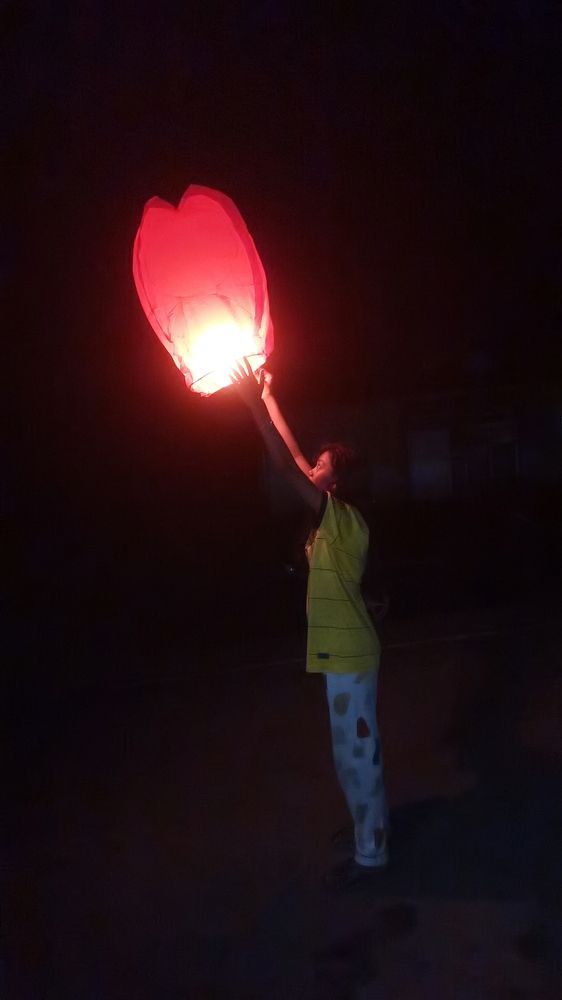 Photo #12054832