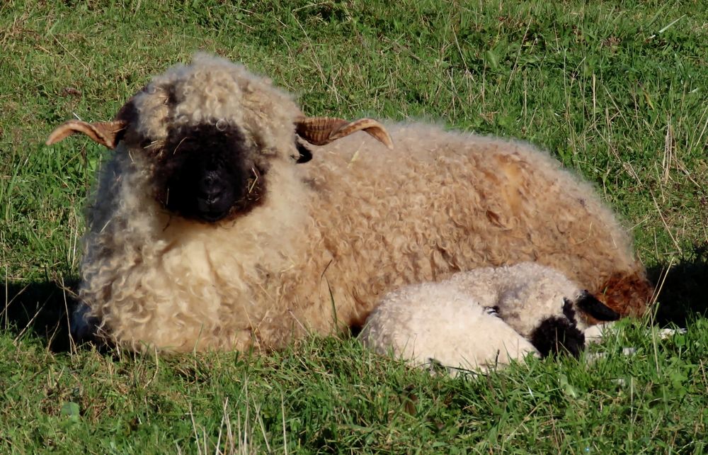 Photograph by Pjotr Alekseev