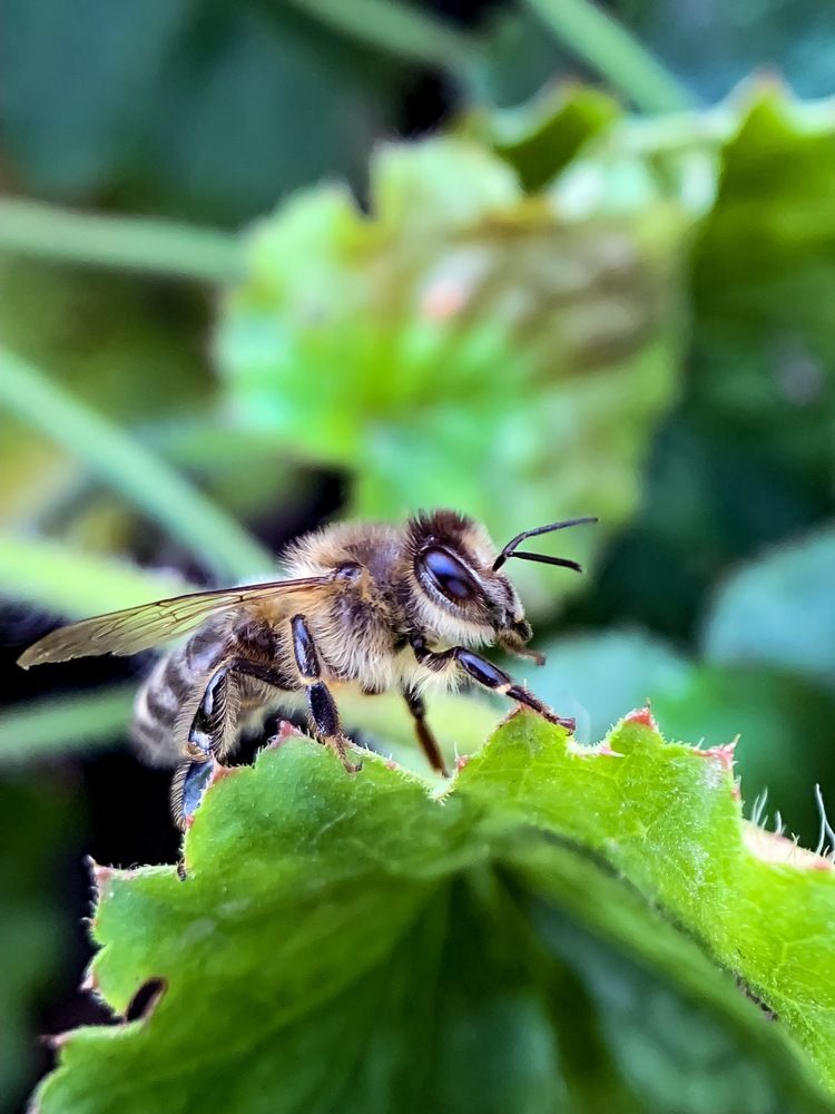 Photograph by Дмитрий Костяков