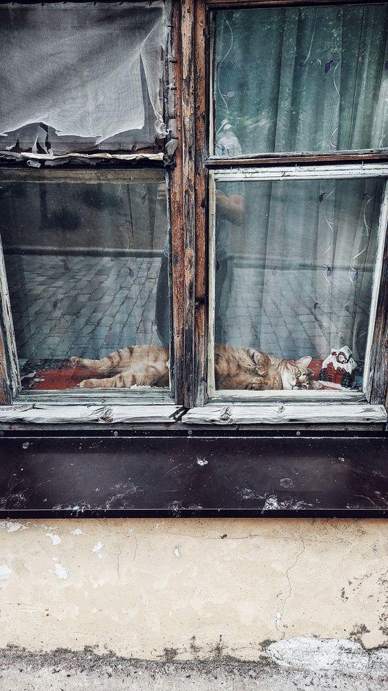 Photograph by Игорь Шамин