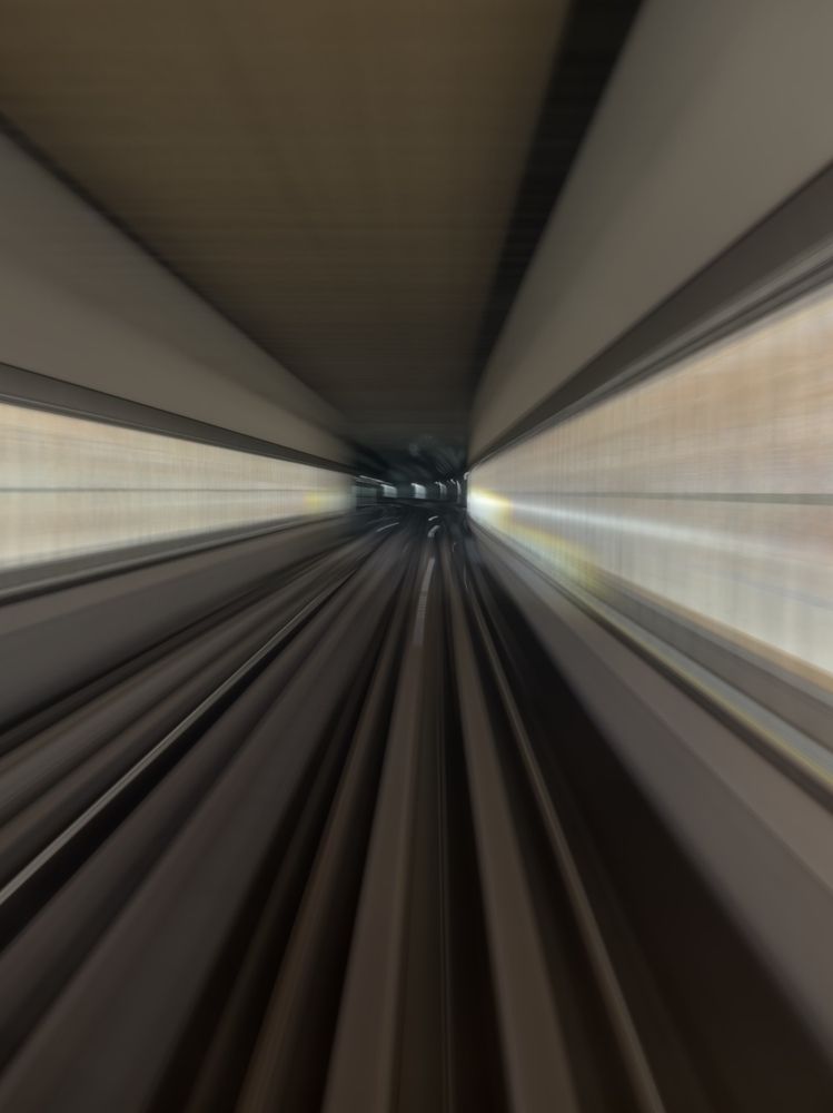 Photograph by Bhupendra Bagla