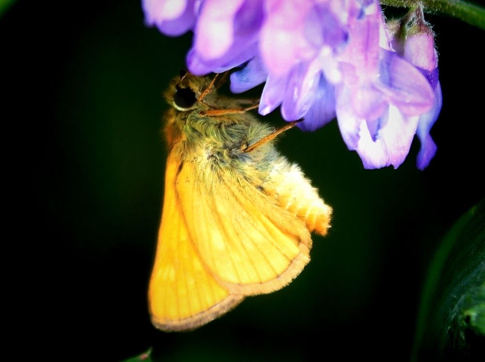 Photograph by Юлия Иванова