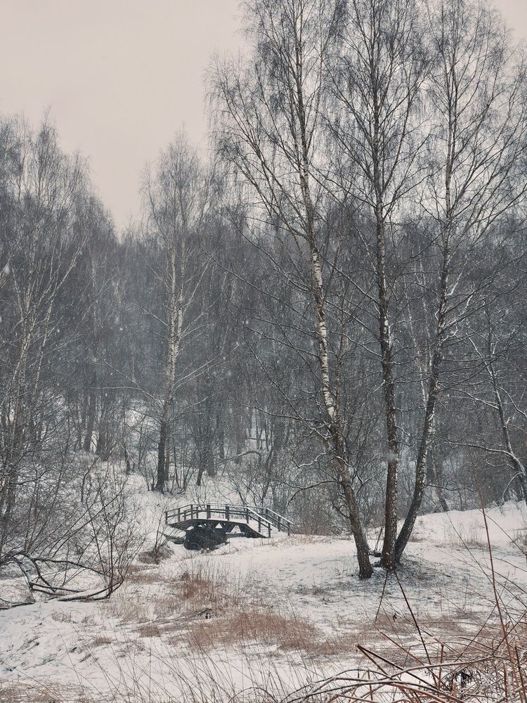 Photograph by Vol-de-M
