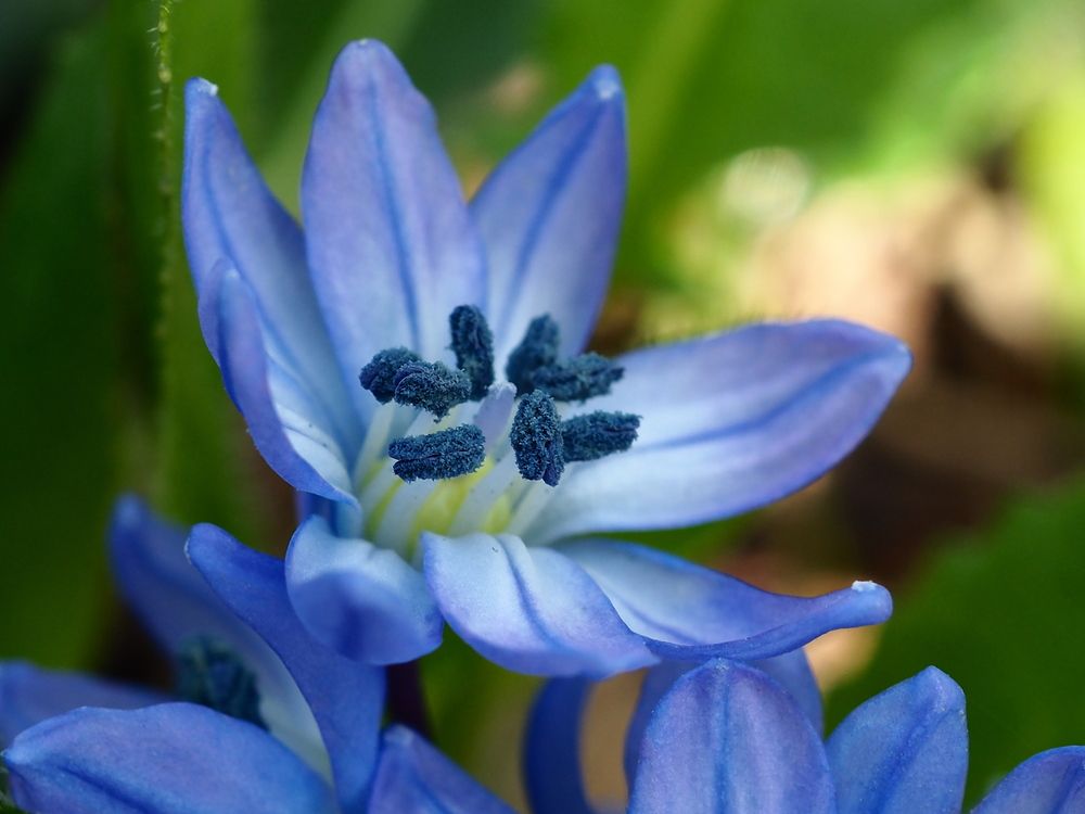 Photograph by Елена Харитонова