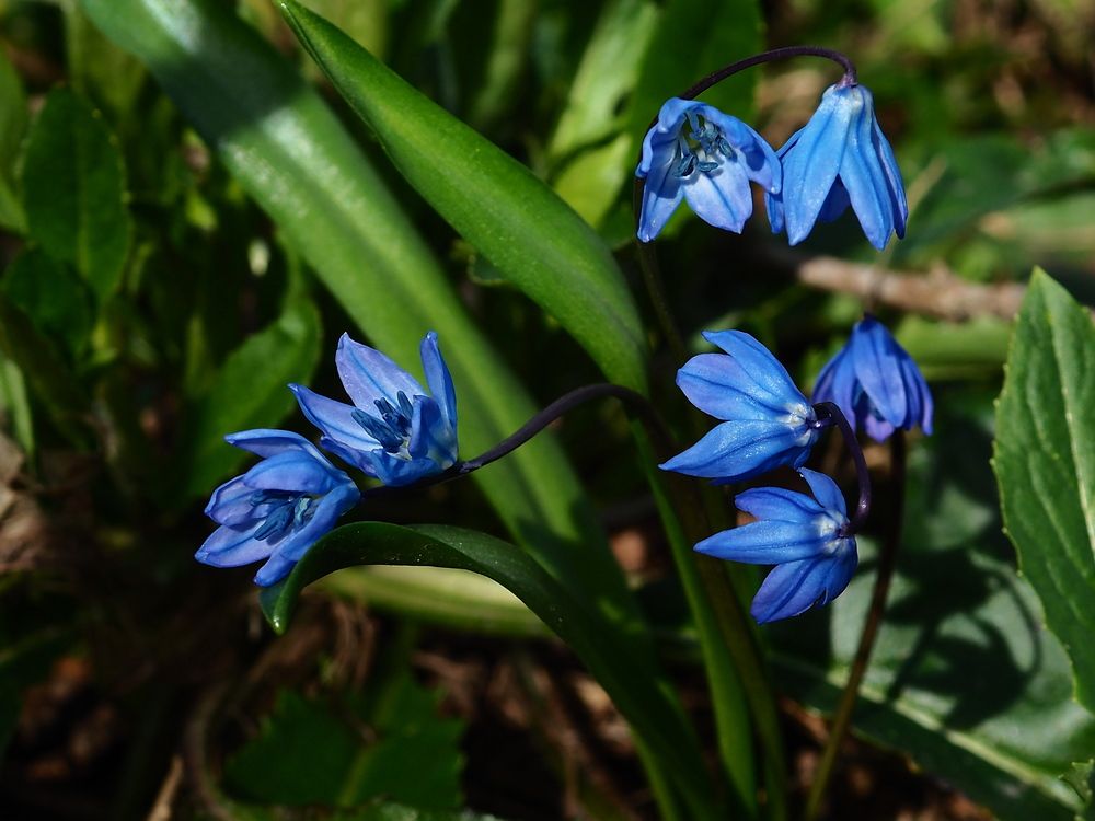 Photograph by Елена Харитонова