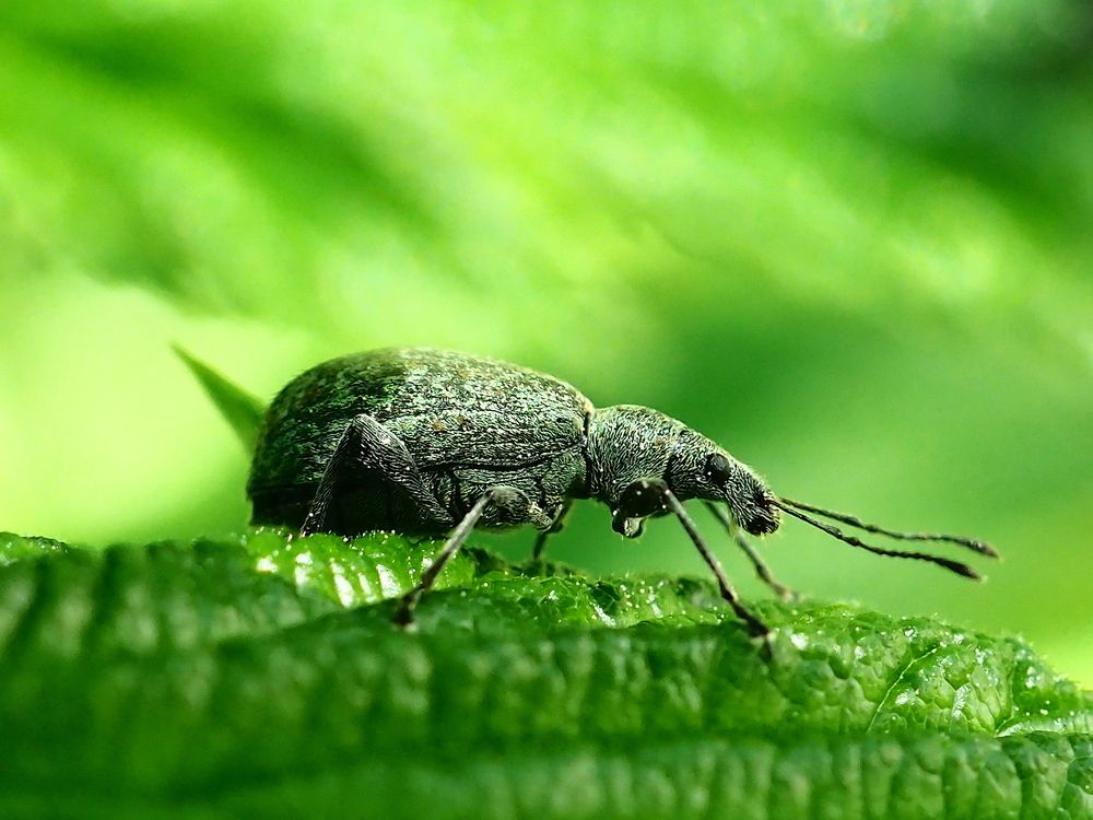 Photograph by Елена Харитонова