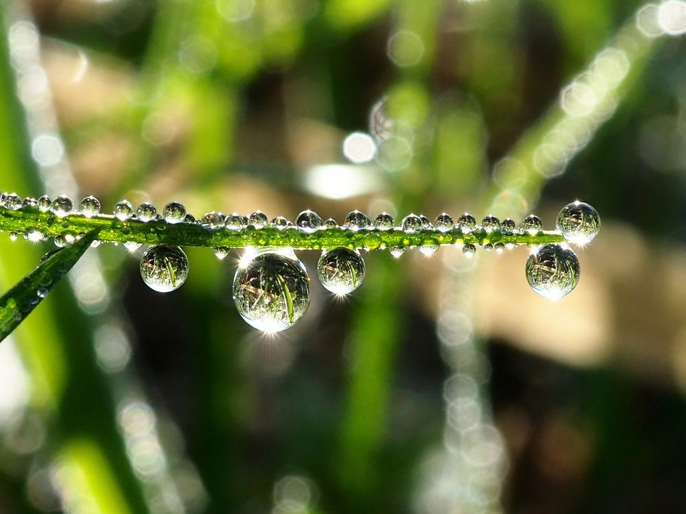 Photograph by Елена Харитонова
