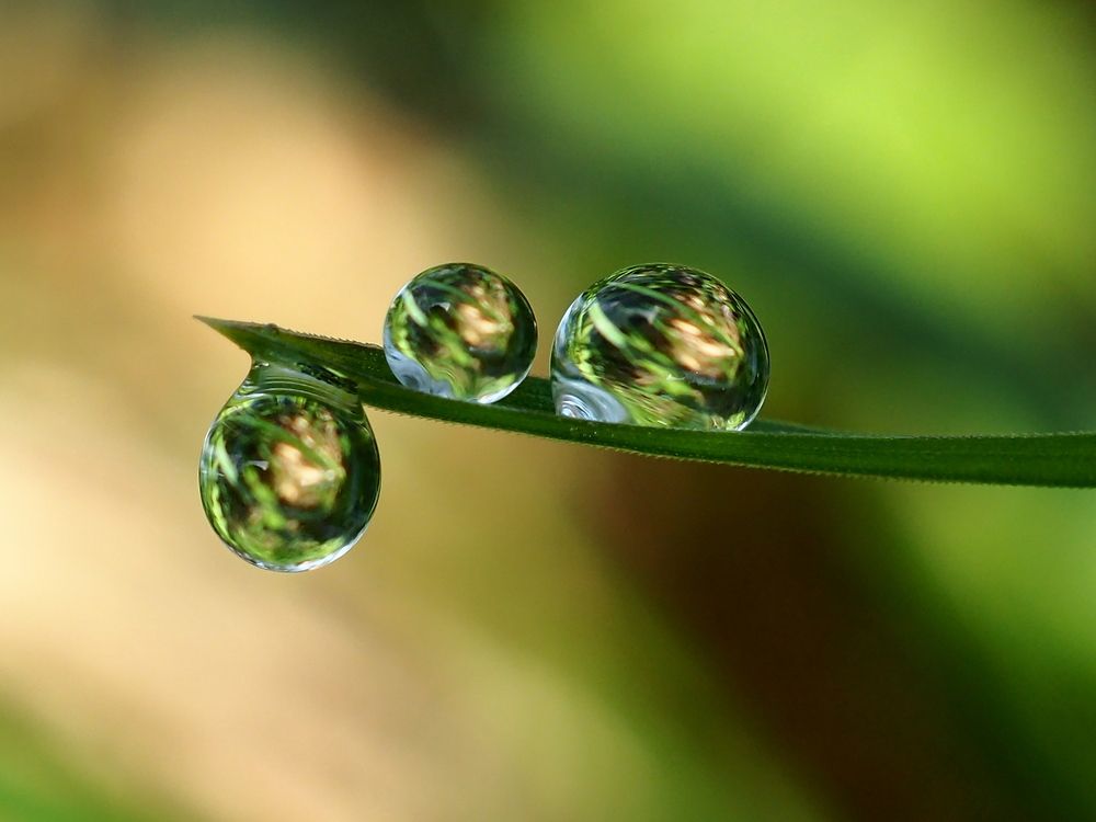 Photograph by Елена Харитонова