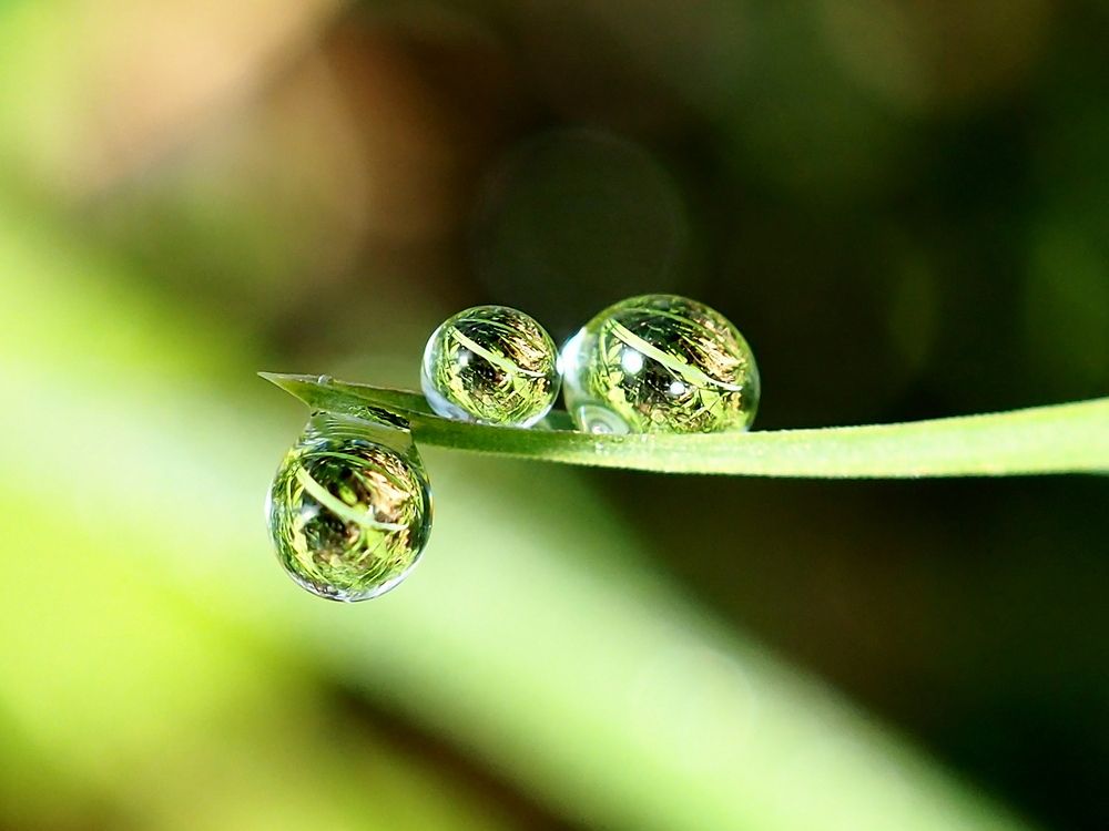 Photograph by Елена Харитонова