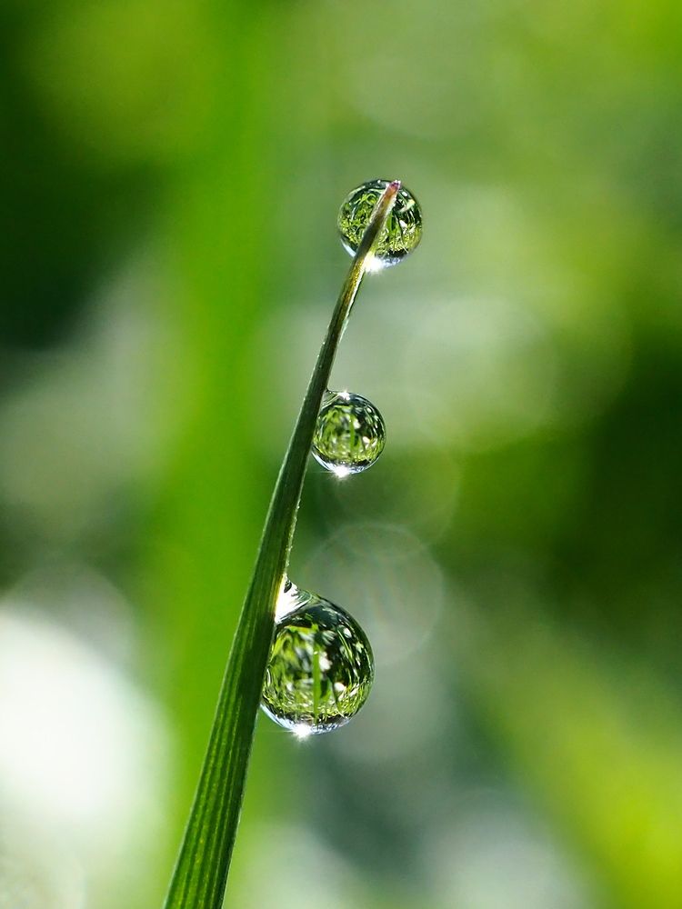 Photograph by Елена Харитонова