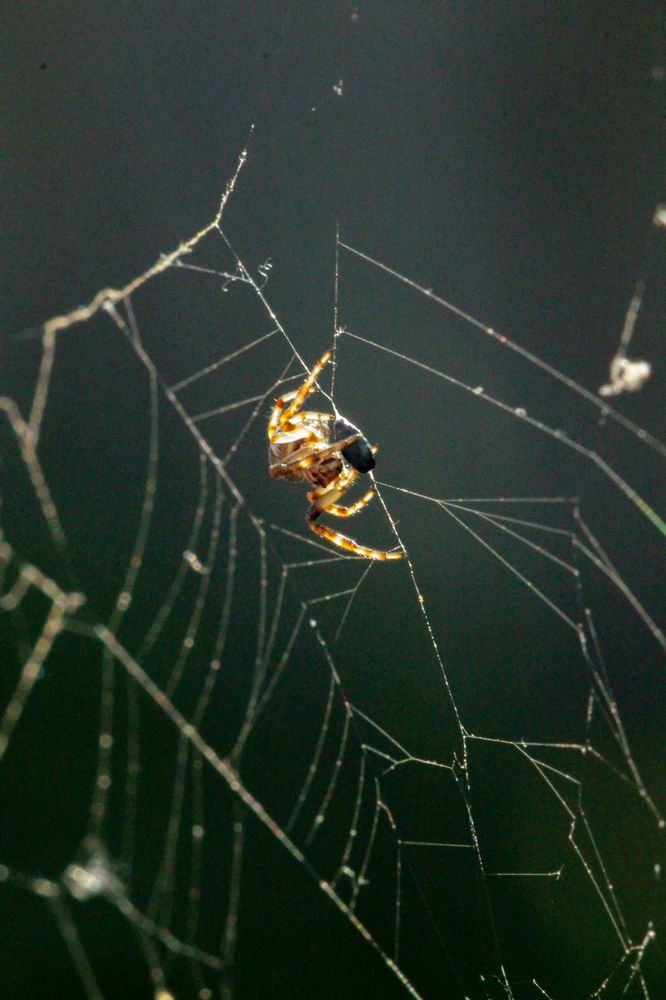 Photograph by Данила Захаров