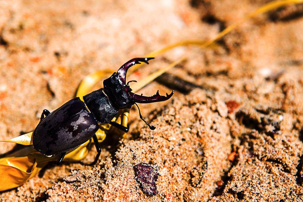 Photograph by Любовь Рощина