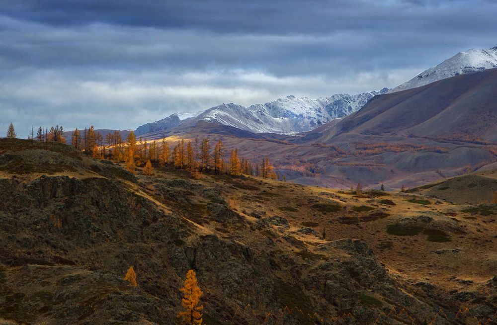 Фотография автора Чичкин Валерий