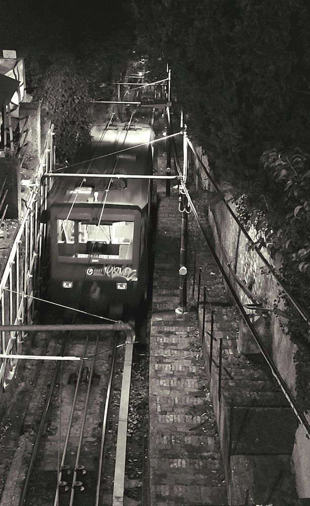 Photograph by claudia