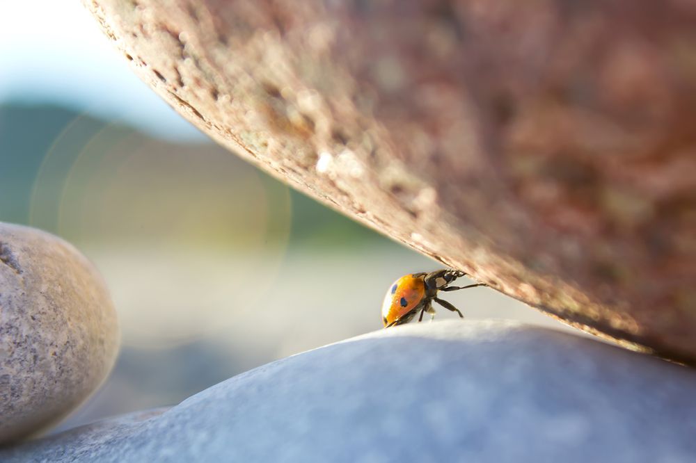 Photograph by Вячеслав Рудинский
