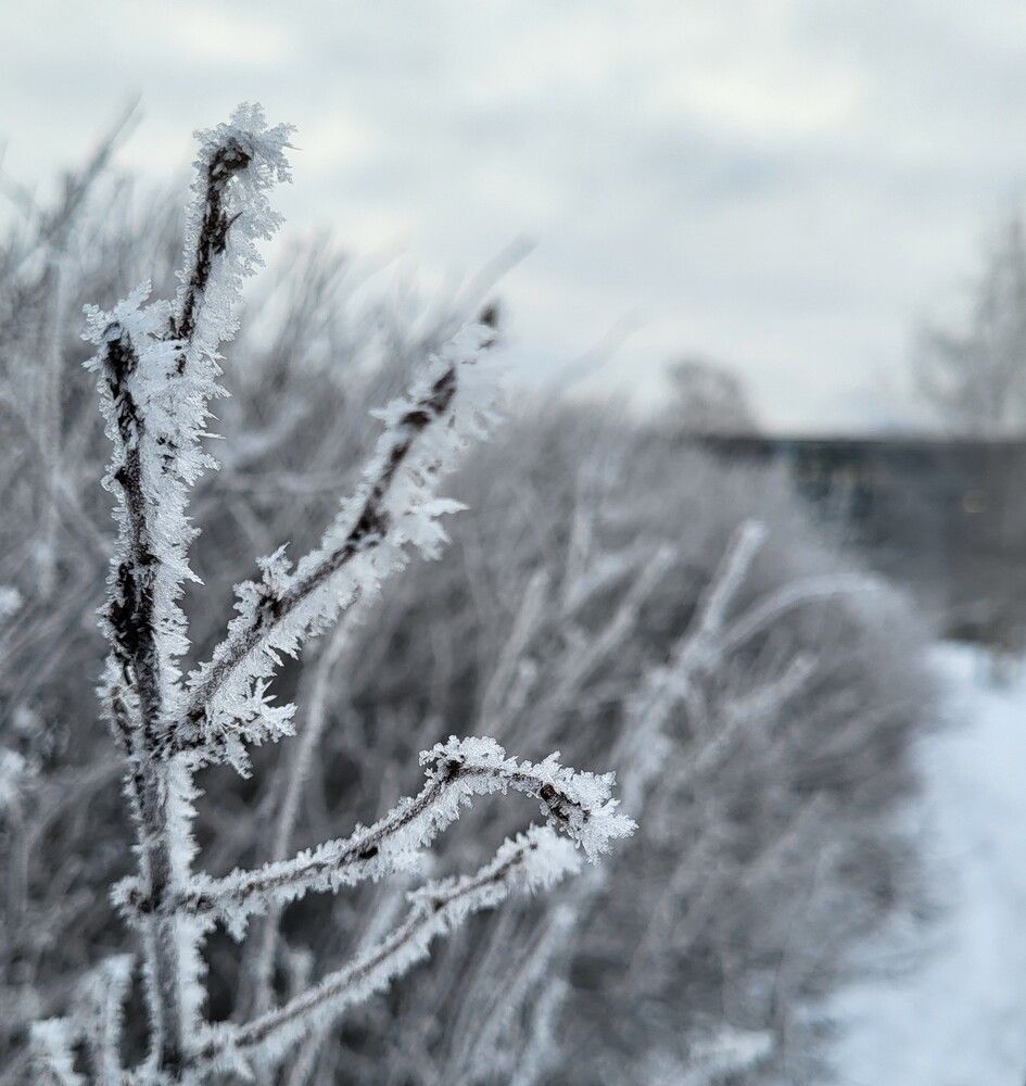 Photograph by Елена Фетисова
