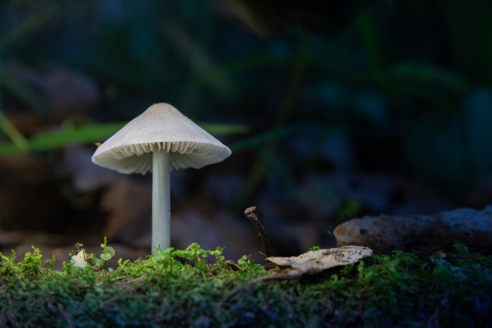 Photograph by Андреев Роман