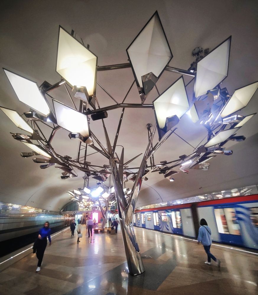 Photograph by Olena Chertous