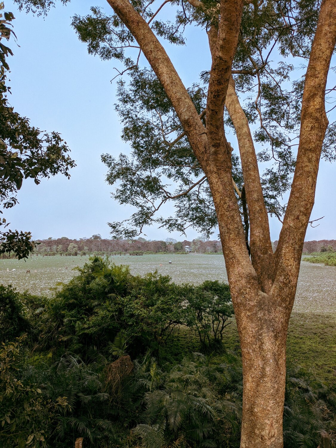Photo #12055651
