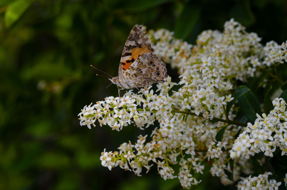 Photograph by Oleg Yashin