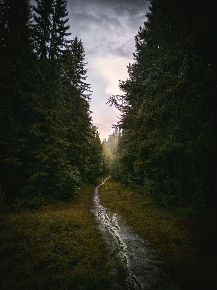 Долина семи ручьев