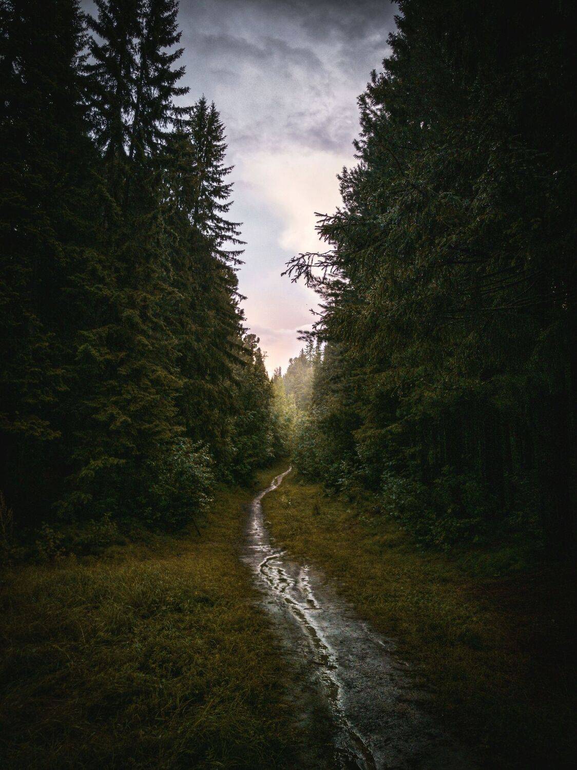 Долина семи ручьев