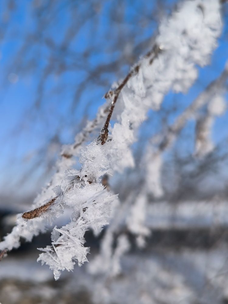 Photograph by Людмила Емельянчикова