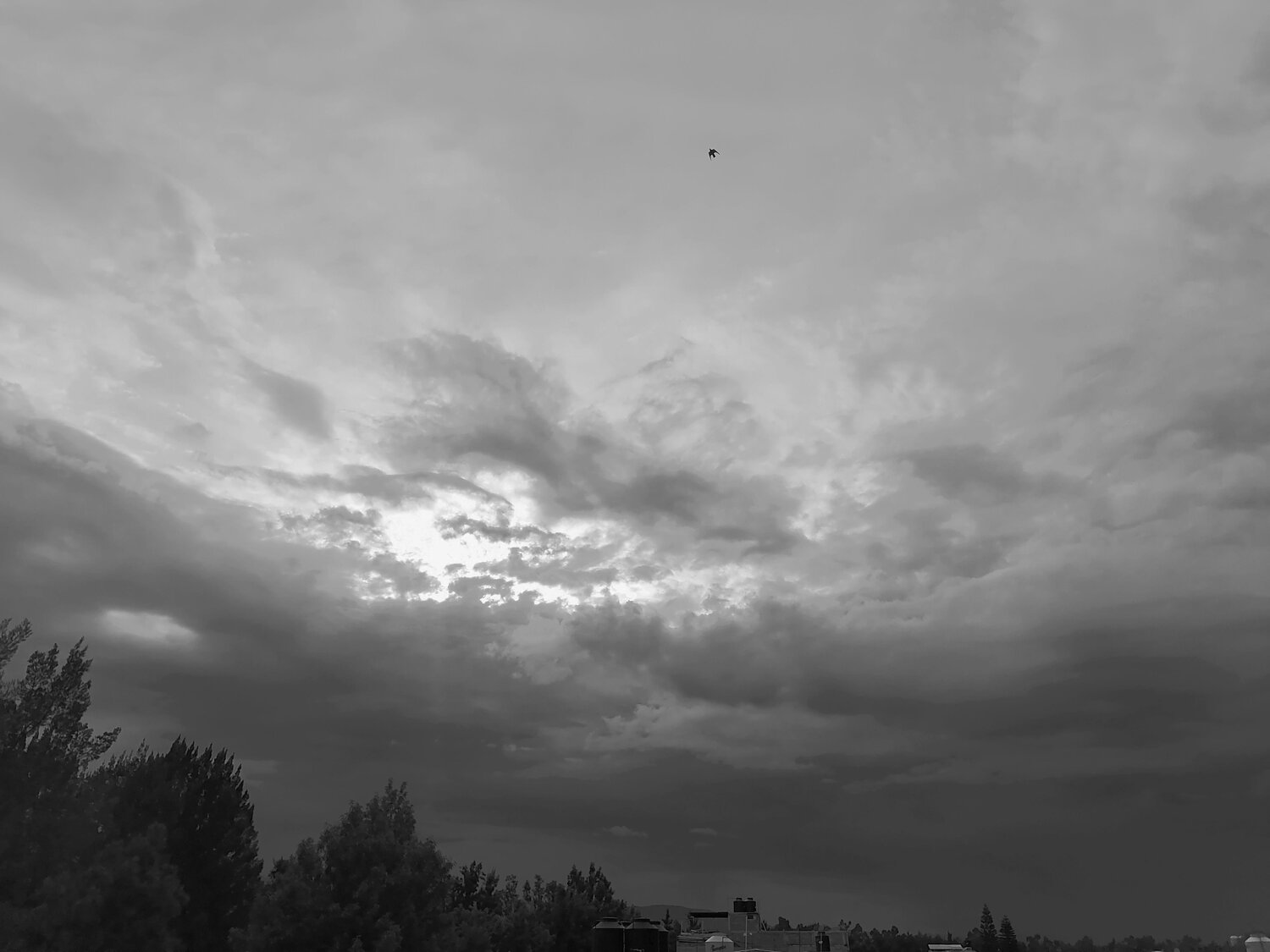 Photo #12055956