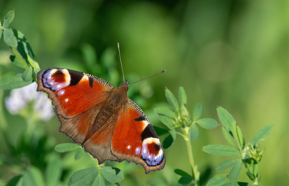 Фотография автора Татьяна Ливеровская
