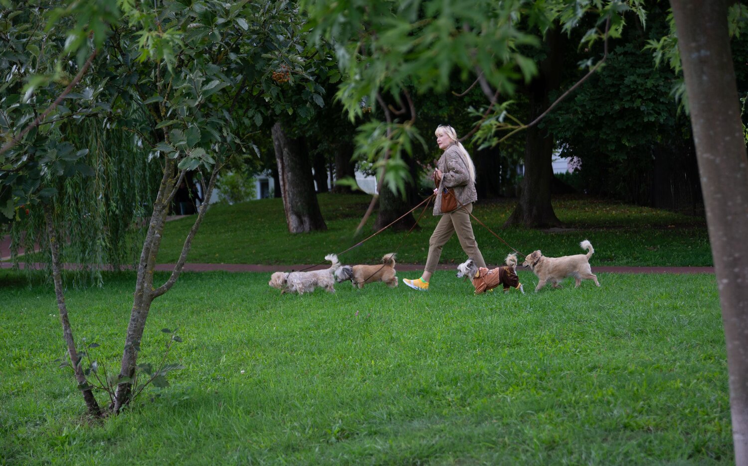 Photo #12055968