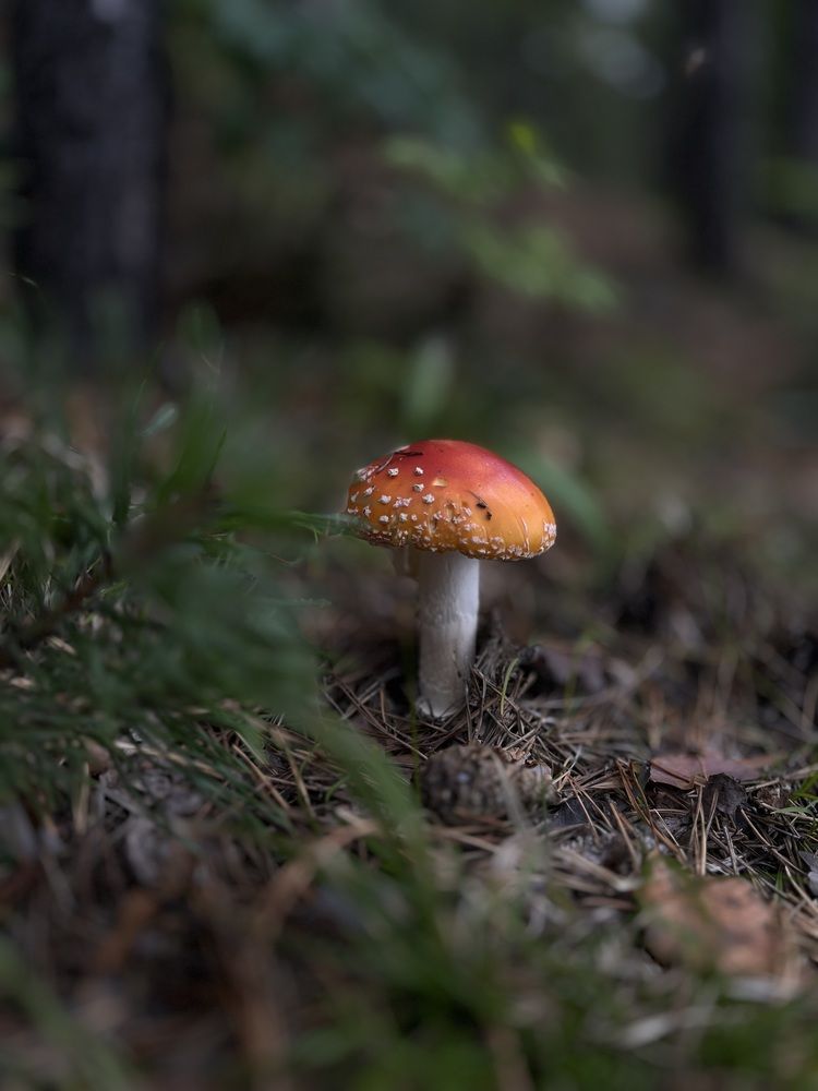 Photograph by Марина Карплюк